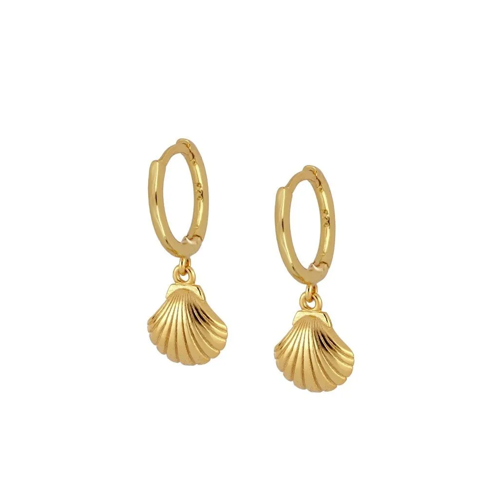 Aro Concha Oro