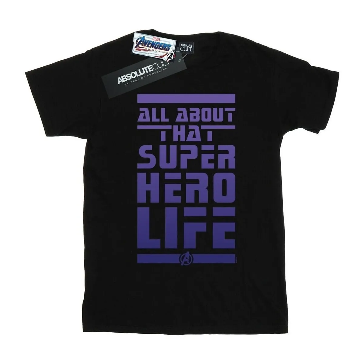 Avengers Endgame Superhero Life