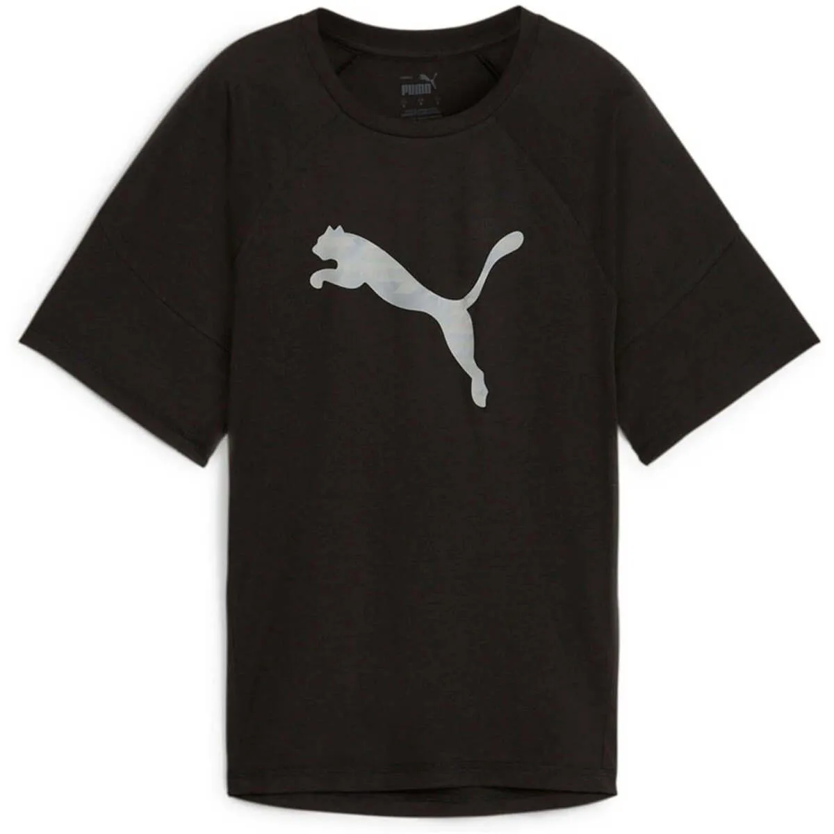 Evostripe Graphic