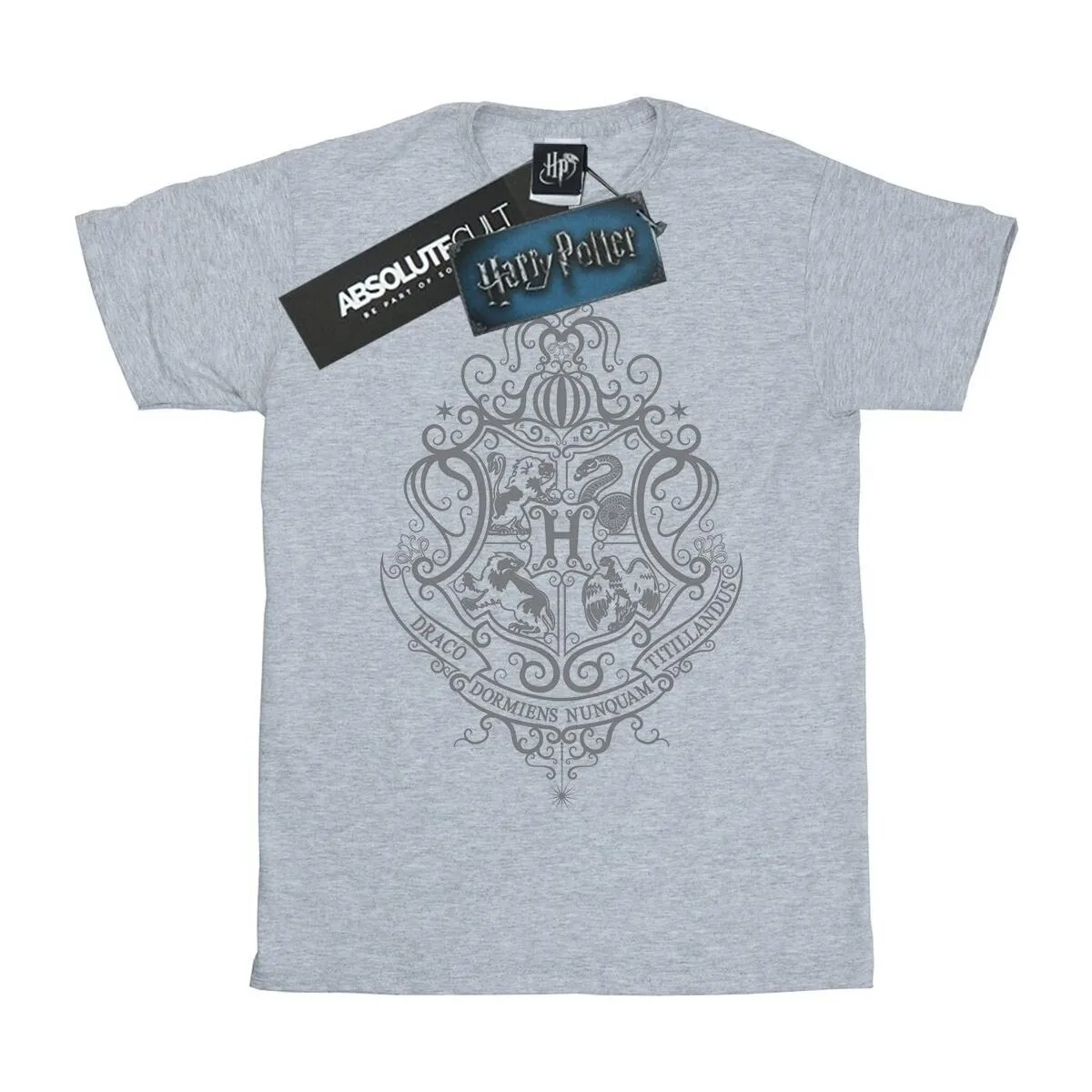 Hogwarts Draco Dormiens Crest