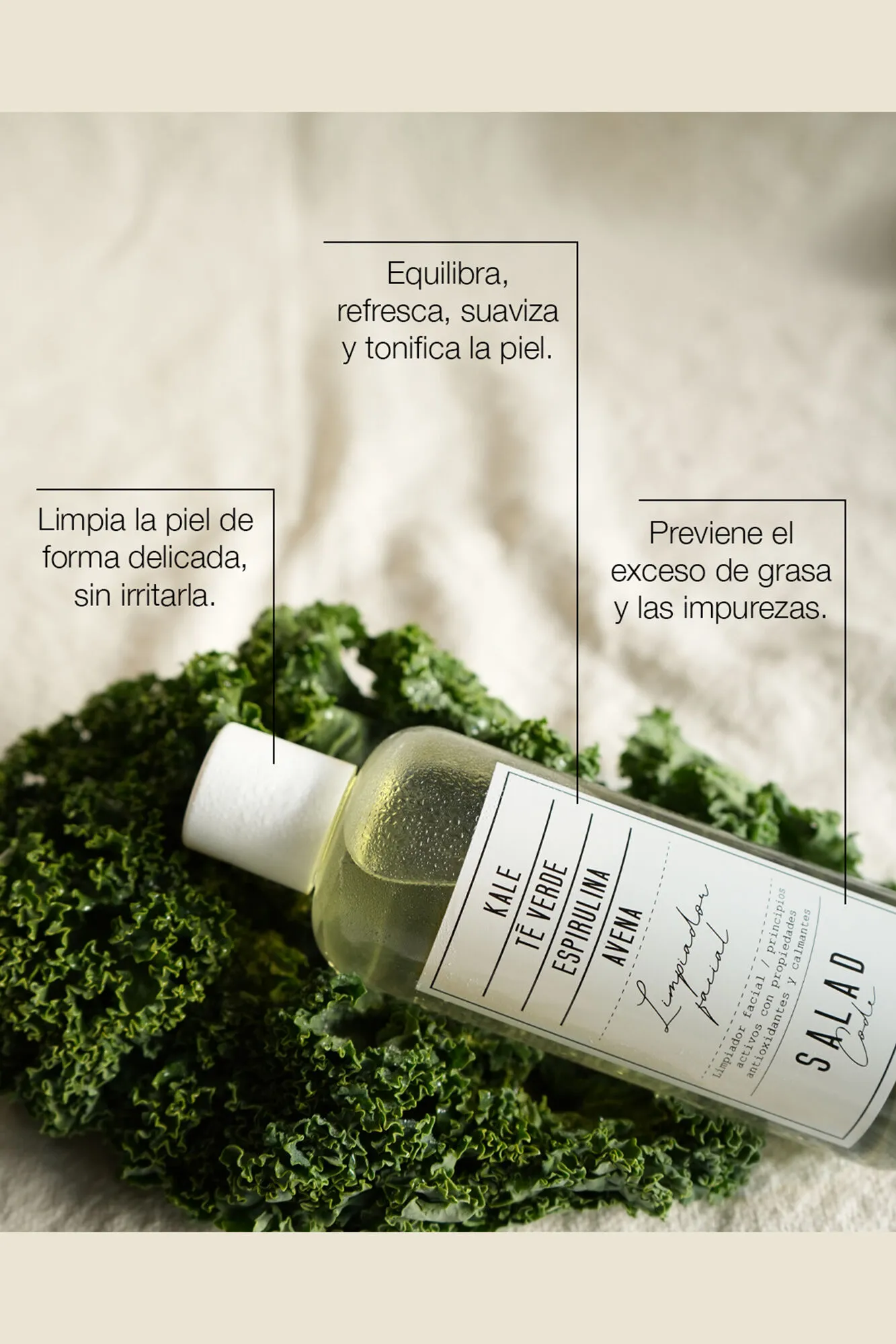 Limpiador facial antioxidante